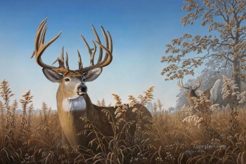 whitetail 07 Oil Paintings